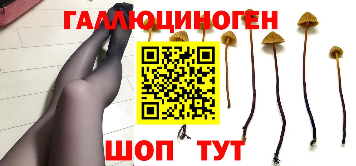 Галлюциногенные грибы Cubensis  Вход с VPN  Псилоцибиновые грибы Magic Shrooms  Ржев 